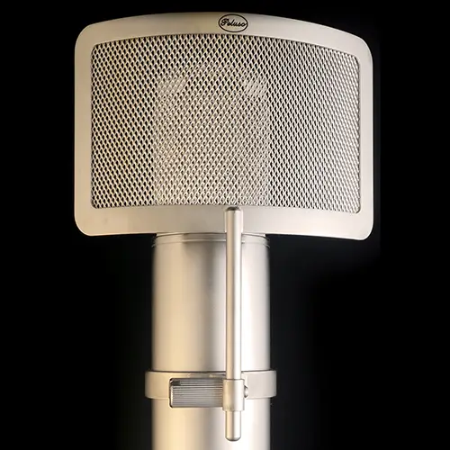 Featured image for “P-12 Vintage Pop Filter”