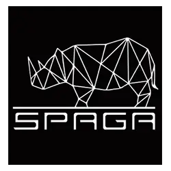 Spaga Icon