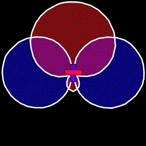 Mid-Side Super Cardioid